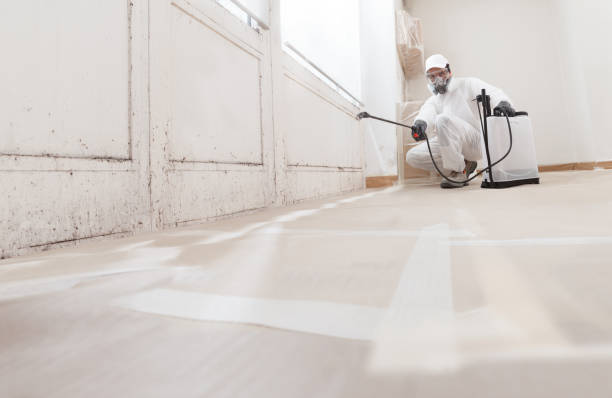 24/7 Emergency Commercial Mold Remediation experts in Knoxville, TN