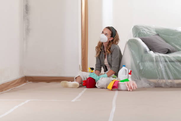 Reliable Commercial Mold Remediation contractor in Knoxville, TN by Mold Remediation HQ
